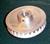 Enderle Fuel Injection 28 tooth pulley