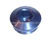 AN Button Head plug