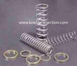 Endere Check Valve springs
